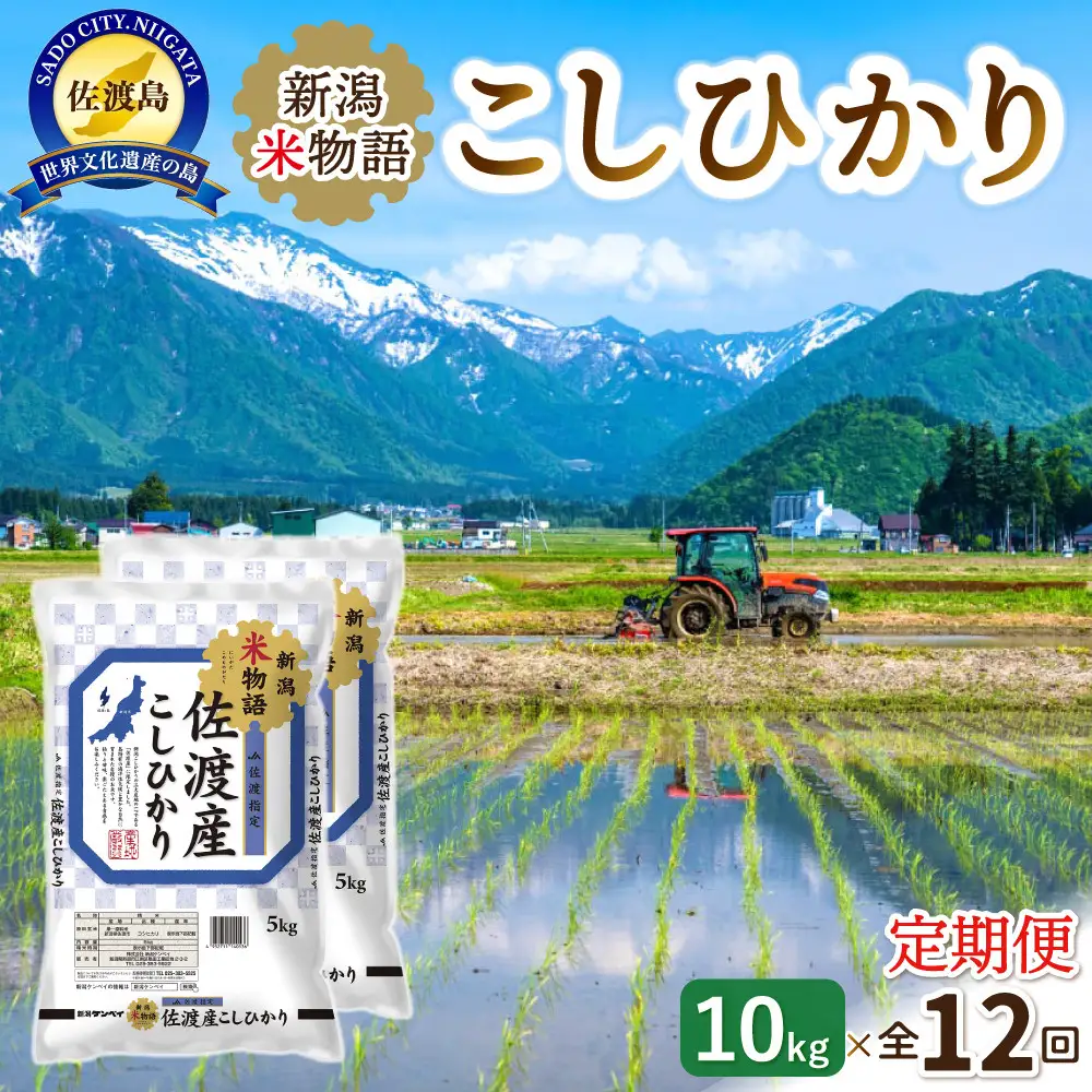 【12ヶ月連続お届け】新潟米物語佐渡産コシヒカリ（10kg（5kg×2））