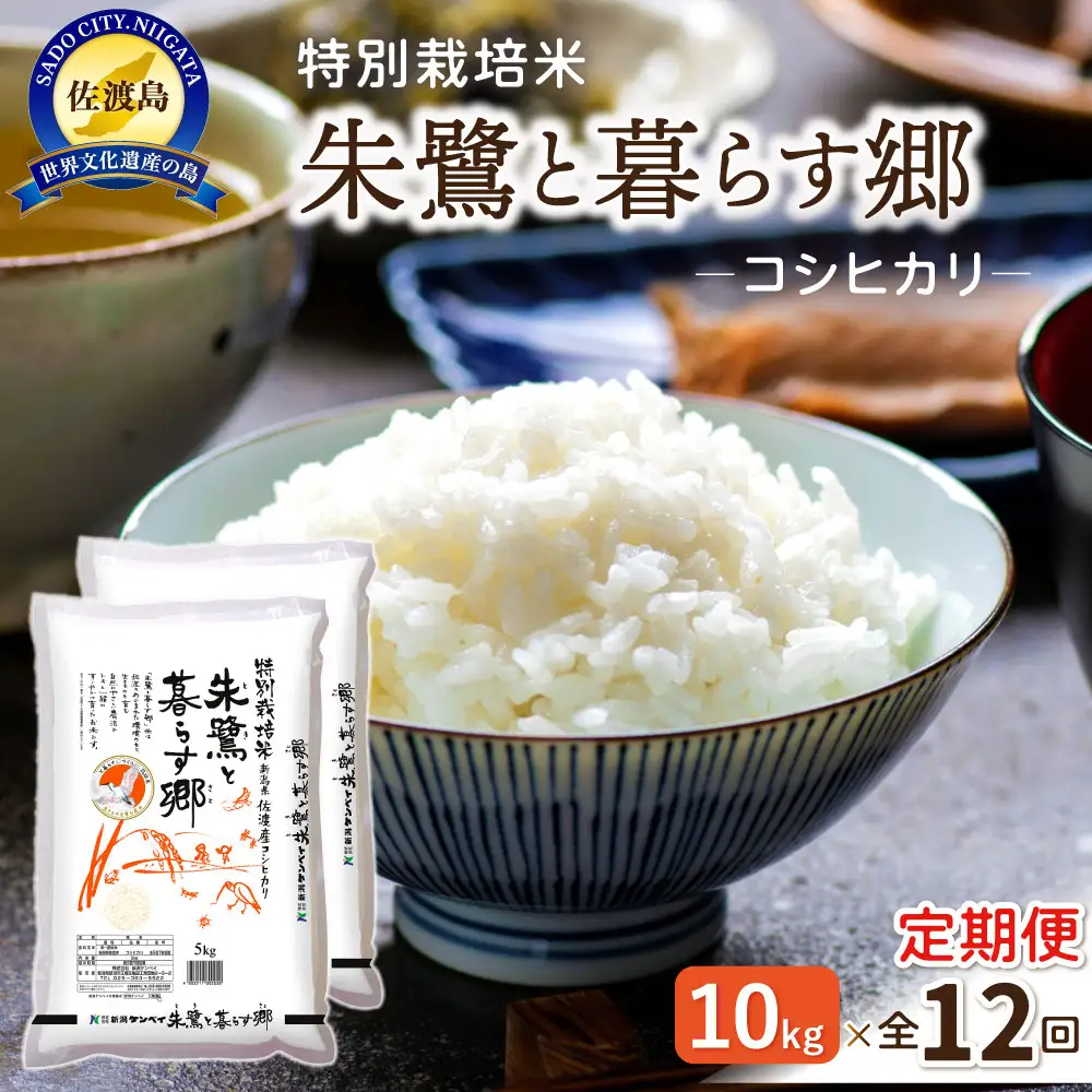 【12ヶ月連続お届け】佐渡産コシヒカリ 朱鷺と暮らす郷（10kg（5kg×2））