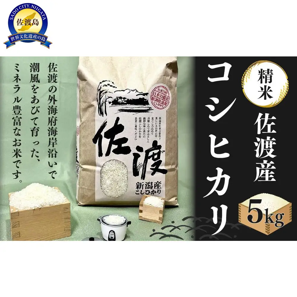 佐渡発酵　佐渡産コシヒカリ精米5kg 【令和7年米】