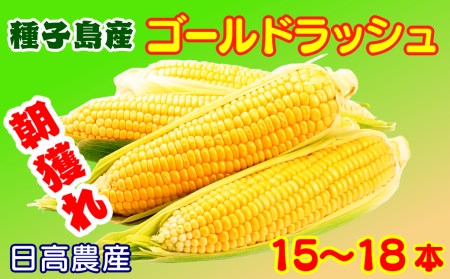 【 6月 限定 】  種子島 産 朝どれ とうもろこし (15～18本)　NFN319【375pt】 
