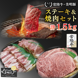 【常陸牛 A5ランク・美明豚ステーキ焼肉セット】常陸牛サーロイン900ｇ（300ｇ×３枚）＋美明豚600ｇ（ロース300ｇ・ばら300ｇ）  EK-36