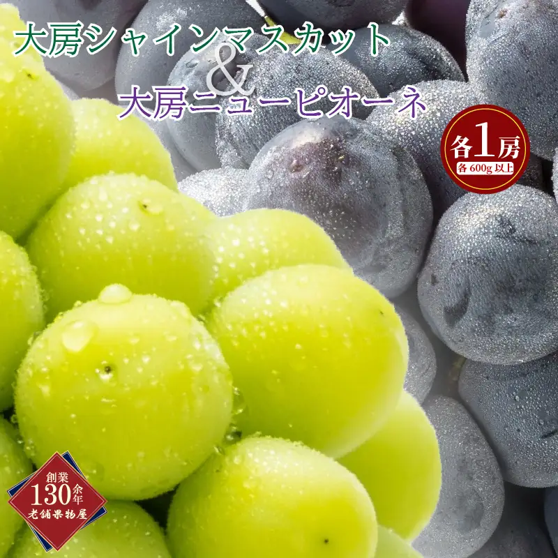 【先行予約】 大房 シャインマスカット＆ニューピオーネ 各1房 各約600g ブドウ ぶどう