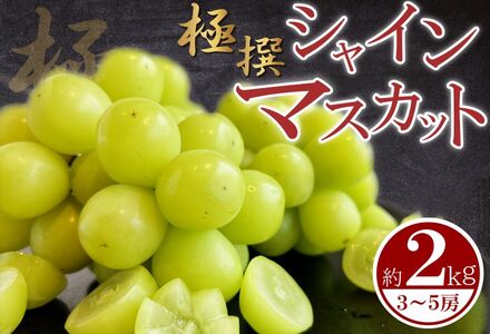 【先行予約】 シャインマスカット 約2kg 3～5房 丸亀産 シャインマスカット
