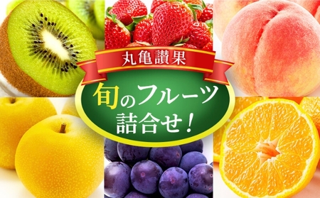 フルーツ フルーツ詰め合わせ 季節のフルーツ 果物
