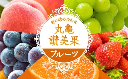 旬のフルーツ詰合せ 丸亀讃美果 季節のフルーツ 果物