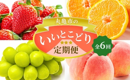 【全6回】フルーツ 定期便 いいとこどり定期便 桃 マスカット