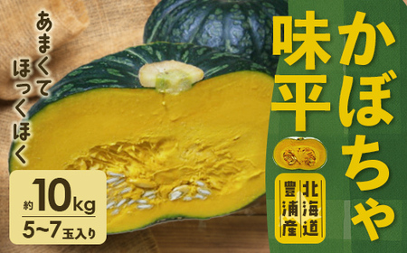 【2026年9月以降順次発送】北海道 豊浦産 かぼちゃ 味平 約10kg 5～7玉入り