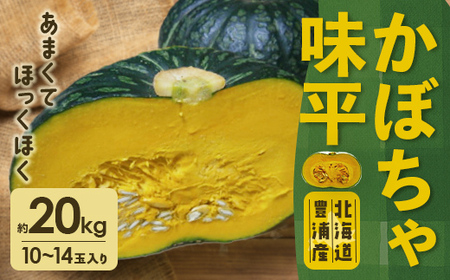 【2026年9月以降順次発送】北海道 豊浦産 かぼちゃ 味平 約20kg 10～14玉入り