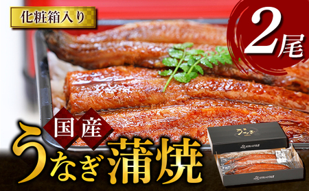 うなぎ蒲焼 2尾入　国産 鰻 ウナギ 蒲焼き ギフト 贈答品 お歳暮 正月 うな丼 鰻丼 うな重 鰻重 ひつまぶし お中元 魚貝類 