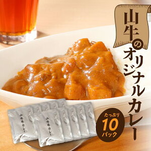 「山牛」のオリジナルカレー10パックセット  K16_0012_1