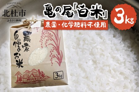 【令和7年度米】白州米 亀の尾『白米』3kg 農薬不使用 化学肥料不使用 天日干し 幻 希少 低タンパク 山梨県 北杜市 [h208]