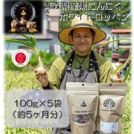 青森県産黒にんにく　100g×5個_野菜 にんにく・生姜 根菜 ニンニク にんにく しょうが ショウガ_【1389463】