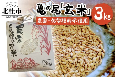 【令和7年度米】白州米 亀の尾『玄米』3kg  農薬不使用 化学肥料不使用 天日干し 幻 希少 低タンパク 山梨県 北杜市  [h208]