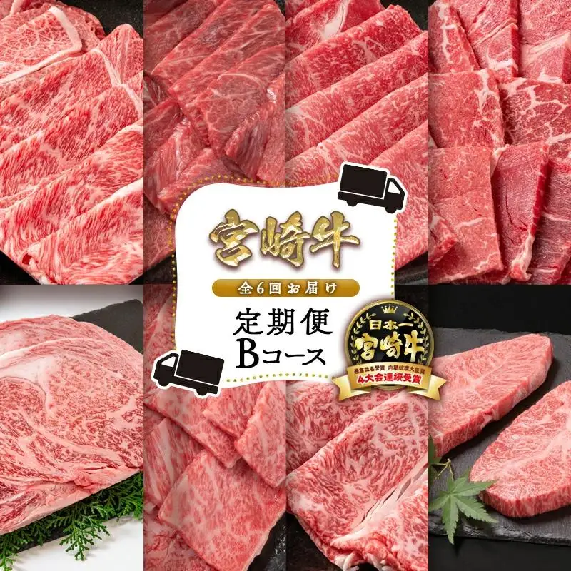 【６ヶ月定期便】宮崎牛Bコース 牛肉 焼肉 すき焼き ステーキ等 ミヤチク 内閣総理大臣賞4連覇＜47-21b＞すき焼肉 すき焼き肉