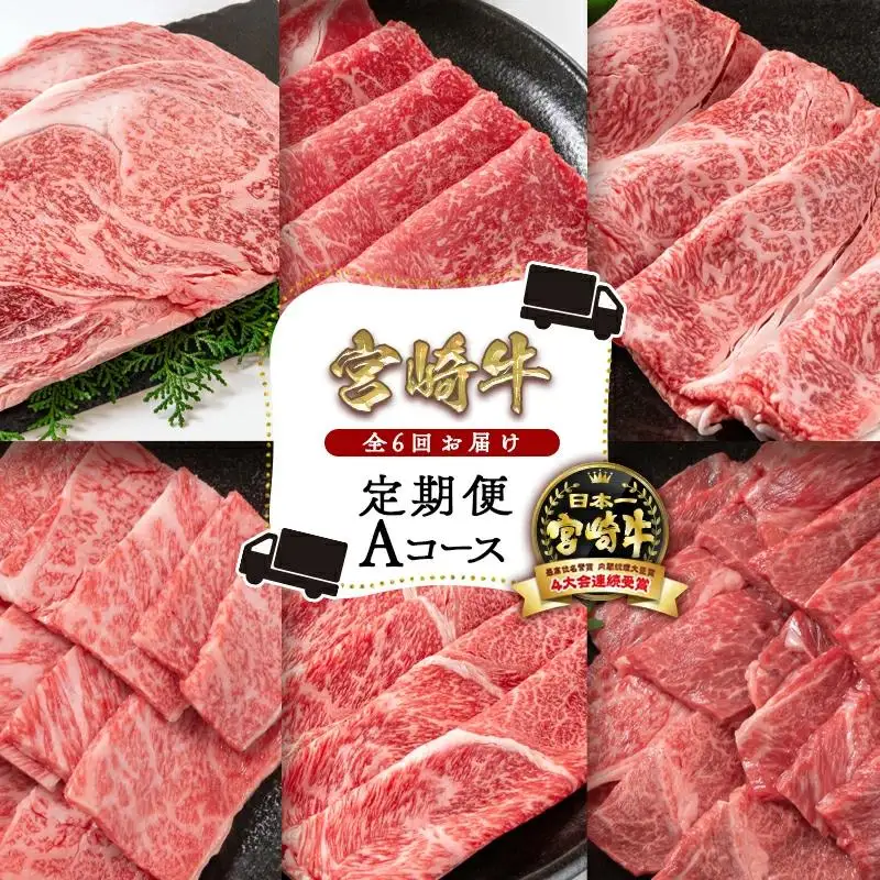 宮崎牛６ヶ月定期便 Aコース 牛肉 焼肉 すき焼き ステーキ等 内閣総理大臣賞4連覇 ブランド牛 ミヤチク＜47-20b＞