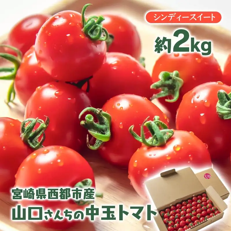 山口さんちの中玉トマト 約2kg シンディースイート 宮崎県西都市産とまと【先行予約】＜2-8a＞★