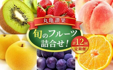 フルーツ定期便 12回 丸亀讃果 いちご キウイ みかん シャインマスカット 梨 桃