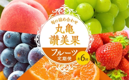 フルーツ定期便  6回 丸亀讃美果セット 旬のフルーツ 果物 定期便