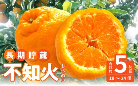 数量限定【5月以降出荷】夏季まで美味しさを保つ、長期貯蔵「不知火」約5kg