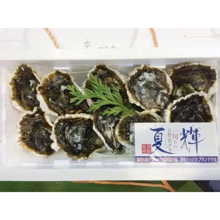127.【2026年6月上旬以降発送 先行予約】鳥取県産　天然　岩ガキ『夏輝』　10個（300g以上×10個） 牡蠣 カキ※着日指定不可※2026年6月上旬～8月下旬頃に順次発送予定