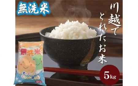 無洗米　川越でとれたお米　5kg ／ 白米 こしひかり 彩のきずな 彩のかがやき ３種類ブレンド米　埼玉県