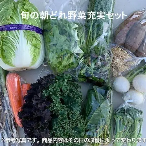 旬の朝どれ野菜充実おまかせセット ／ やさい 朝採れ 埼玉県