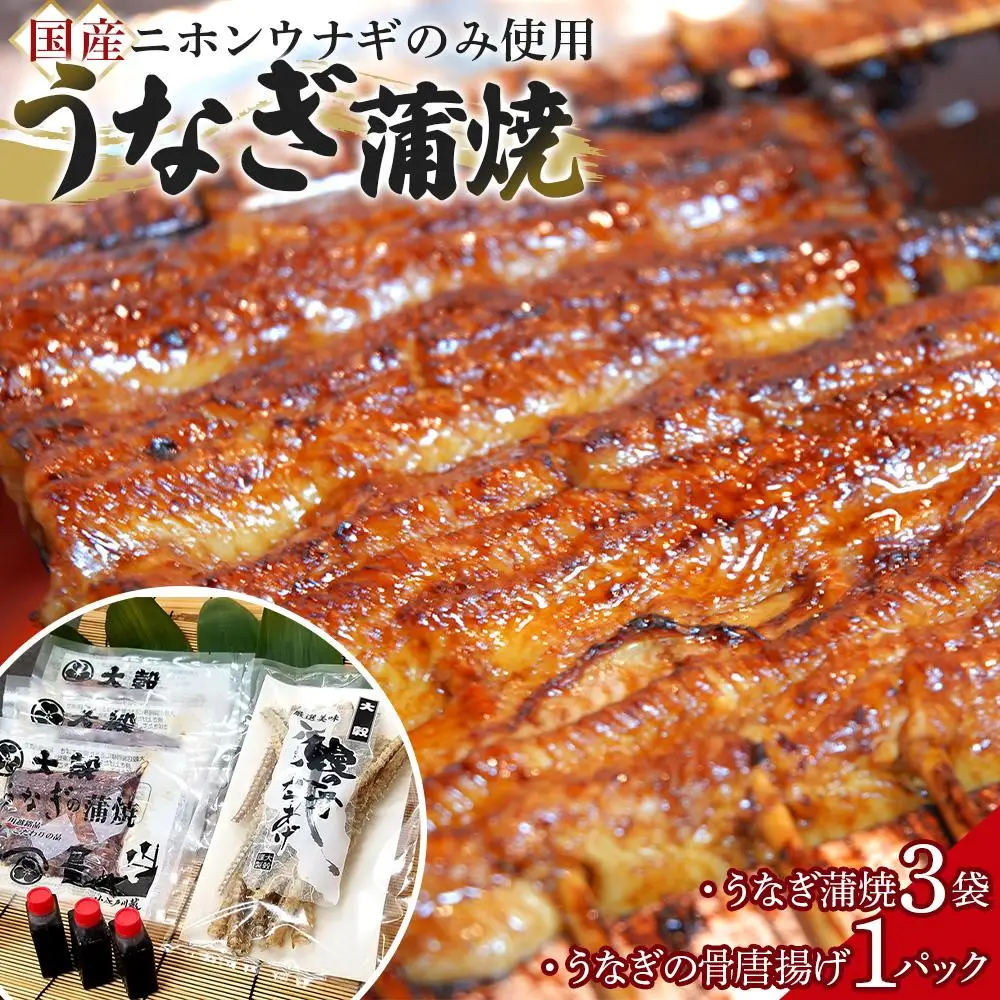 【国産ニホンウナギのみ使用】大穀のうなぎ蒲焼3袋、うなぎの骨唐揚げ1パックセット【要冷凍】 ／ 真空パック 紀州備長炭 特殊凍結 秘伝のたれ 埼玉県