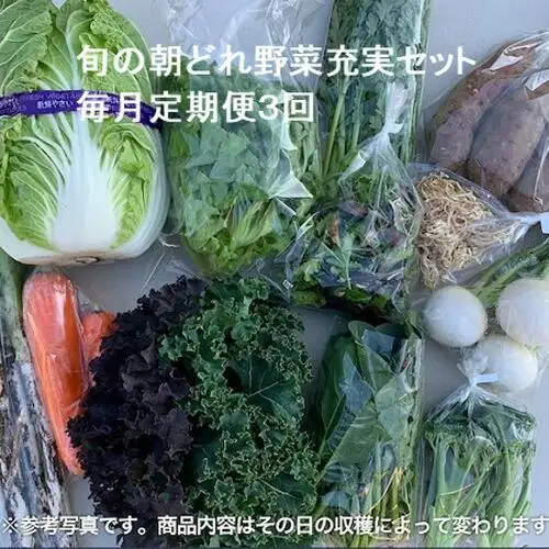 旬の朝どれ野菜充実セット×3回 ／ やさい 朝採れ 埼玉県