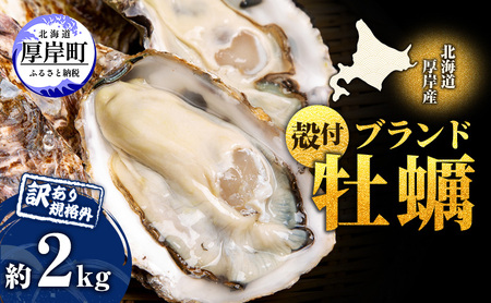 4月配送 訳あり ハーフ 規格外 牡蠣 北海道厚岸産 殻付カキ 約2kg（11～25個）カキナイフ付 生食 魚貝類 生牡蠣 かき 生カキ カキフライ マルえもん いびつな形 四季によって違う味わい コクがあり濃厚