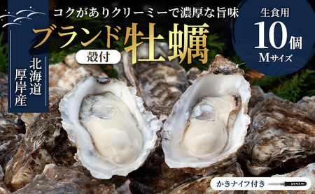 北海道 厚岸産 生食用 殻付カキ Mサイズ 10個 マルえもん 牡蠣 魚貝類 生牡蠣 かき