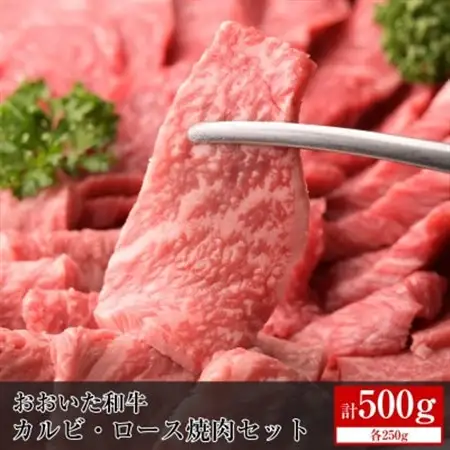 おおいた和牛カルビ・ロース焼肉セット【合計500g】_牛肉  肉  和牛  おおいた和牛  国産牛  お肉  焼肉  カルビ  焼肉_【配送不可地域：離島】【1395594】