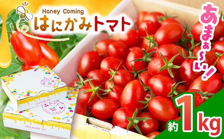 太陽の恵みをたっぷり浴びた はにかみトマト 約1kg 