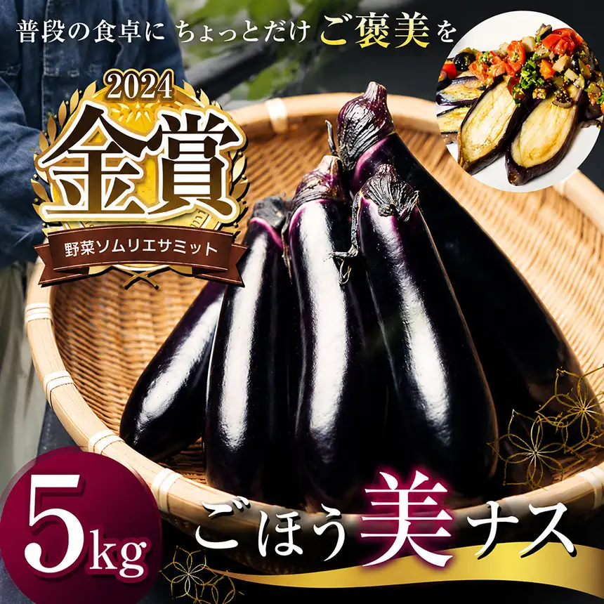 ソムリエサミット金賞「ごほう美 ナス 」約5kg