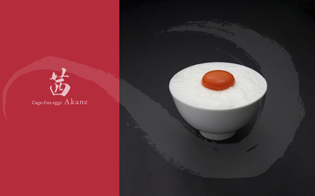 【定期便3回】見た目も旨みも想像以上・箱庭たまごの「箱庭茜」9個 ギフトボックス