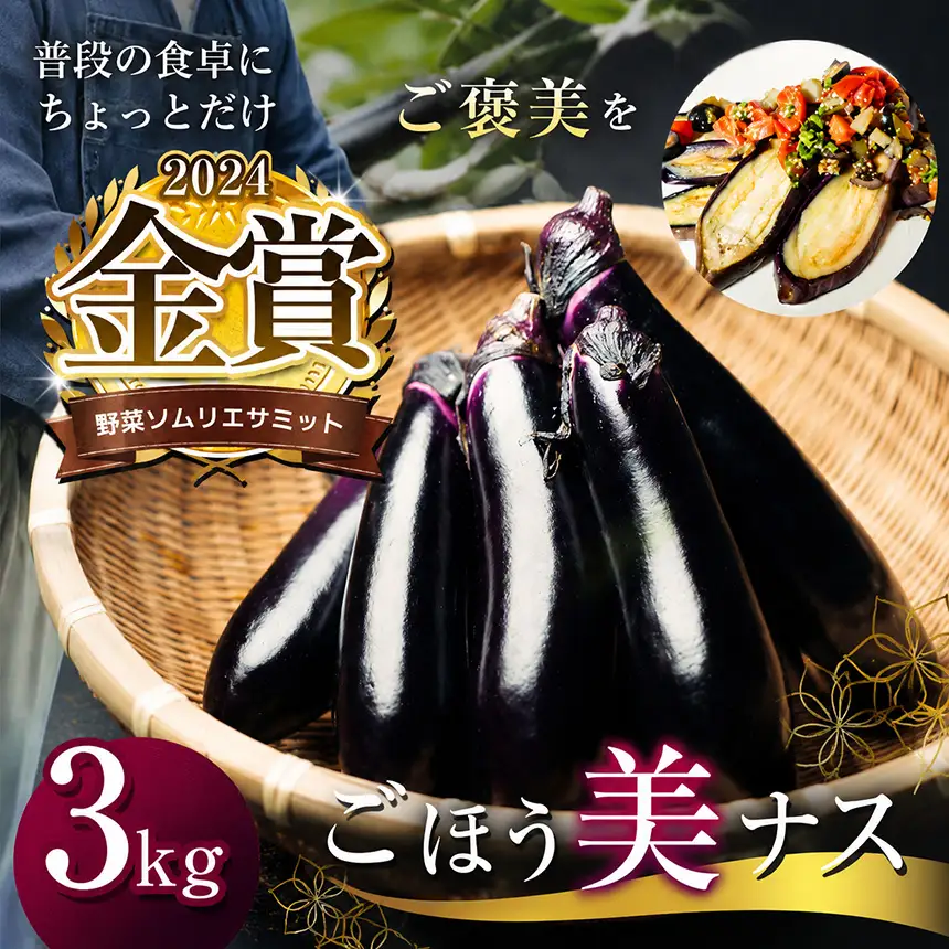 野菜ソムリエサミット金賞「ごほう美ナス」 約3kg