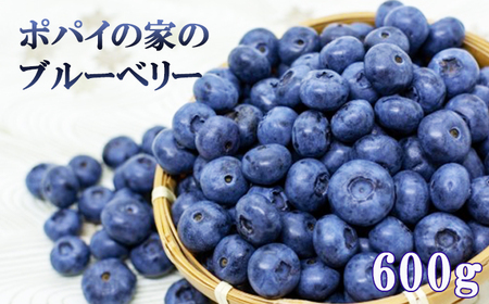【2026年6月下旬発送開始予定】 【数量限定】 採れたて ブルーベリー 約600g ＜ 福祉事業所 ポパイの家 ＞ ／ ブルーベリー 生ブルーベリー 冷蔵 新鮮 産地直送 旬 フルーツ 果実 果物 くだもの 期間限定 季節限定 朝採れ 朝採り ふぞろい 不揃い 岩手県産 八幡平市産 おすすめ オススメ