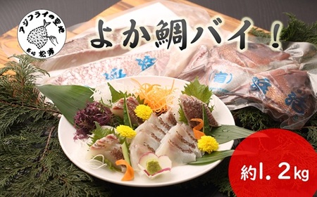 真鯛1匹柵どり済みで刺身・焼物・煮物に扱いやすさ抜群！よか鯛バイ！【B9-020】