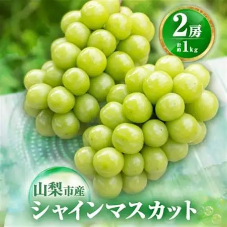 【2026年発送】農福連携 シャインマスカット2房(合計1kg程度)【配送不可地域：離島】【1271031】