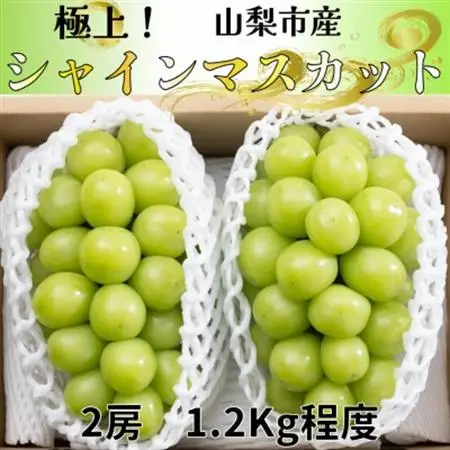 【2026年発送】極上!農福連携シャインマスカット2房(2房1.2kg程度)【配送不可地域：離島】【1368293】