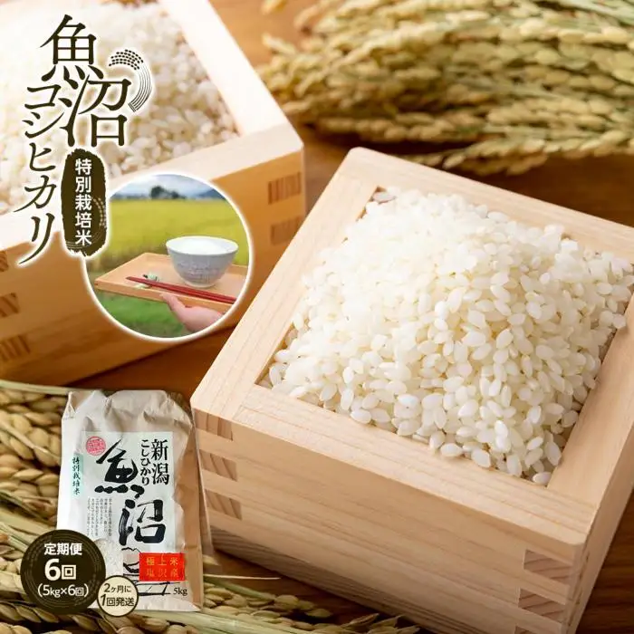【令和7年産】定期便６回！！魚沼コシヒカリ特別栽培米５kg×６回（２カ月に１回発送）【定期便 銘柄米 ブランド米 精米 こしひかり コシヒカリ 魚沼産 新潟米 産地直送 お米 米 こめ コメ ご飯 御飯 ごはん】
