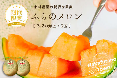 【2026年発送】中富良野産赤肉メロン2玉（3.2kg～4.0kg）【BZ-001】