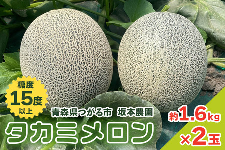 坂本農園のブランドメロン タカミ (約1.6kg×2玉) 糖度15度以上 [0822]