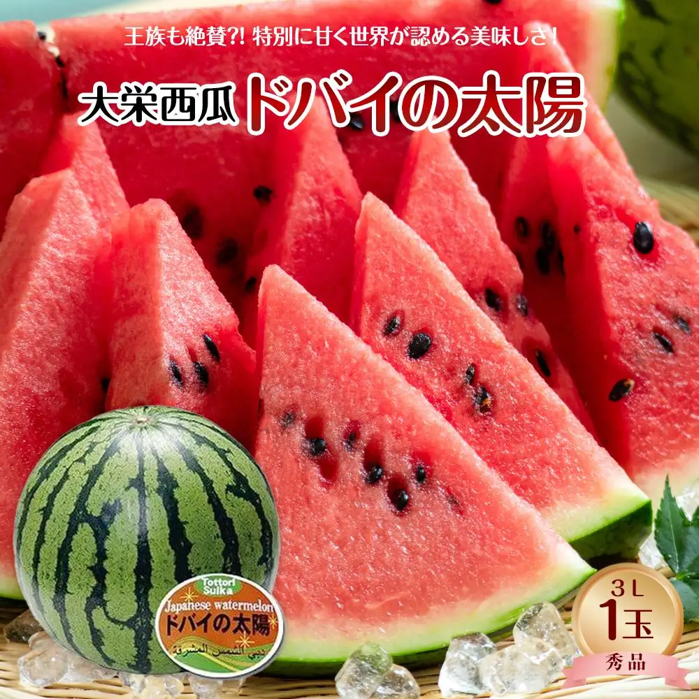 【先行予約】【ＪＡ】大栄西瓜「ドバイの太陽」秀3Ｌ×1玉 ※着日指定不可 ※離島への配送不可 ※2026年6月中旬頃～7月中旬頃に順次発送予定 スイカ