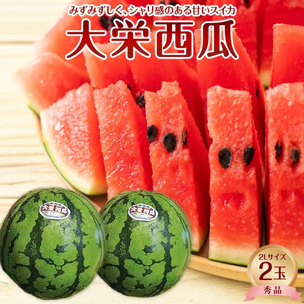 【先行予約】【ＪＡ】大栄西瓜 秀2Ｌ×2玉 ※着日指定不可 ※離島への配送不可 ※2026年6月中旬頃～7月中旬頃に順次発送予定 スイカ
