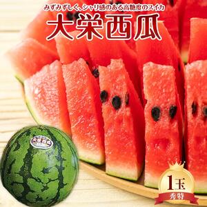734.【先行予約】【ＪＡ】大栄西瓜 秀特×1玉　※着日指定不可　※離島への配送不可　※2026年6月中旬頃～7月中旬頃に順次発送予定