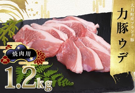 【国産】力豚 豚肉 ウデ肉 焼肉用1.2kg 小分け ブランド豚 焼き肉 BBQ ポーク 冷凍 真空