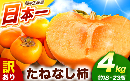 訳あり たねなし柿 約4kg （ 18～23個 ) 大人気 | 種無し たねなし 柿 フルーツ 果物 くだもの カキ かき 農家直送 家庭用 フードロス 秋の味覚 旬 大小混合 奈良県 五條市 まろやか 食べやすい 種なし やさしい 甘さ 大容量 こだわり 産地直送 10月 秋 旬 自宅用 グルメ お取り寄せ 送料無料 高評価 わけあり 訳アリ 株式会社柳澤果樹園