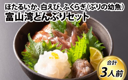 富山湾どんぶりセット 約３人前 