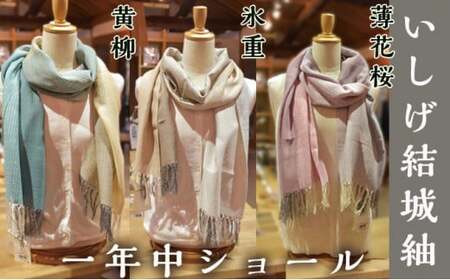 【いしげ結城紬】結城紬　一年中ショール（氷重・黄柳・薄花桜）
