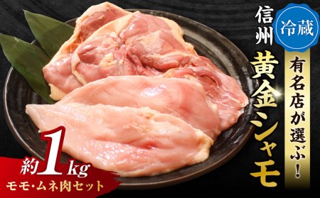 【朝びき！】信州黄金シャモ モモ・ムネ肉セット　地鶏